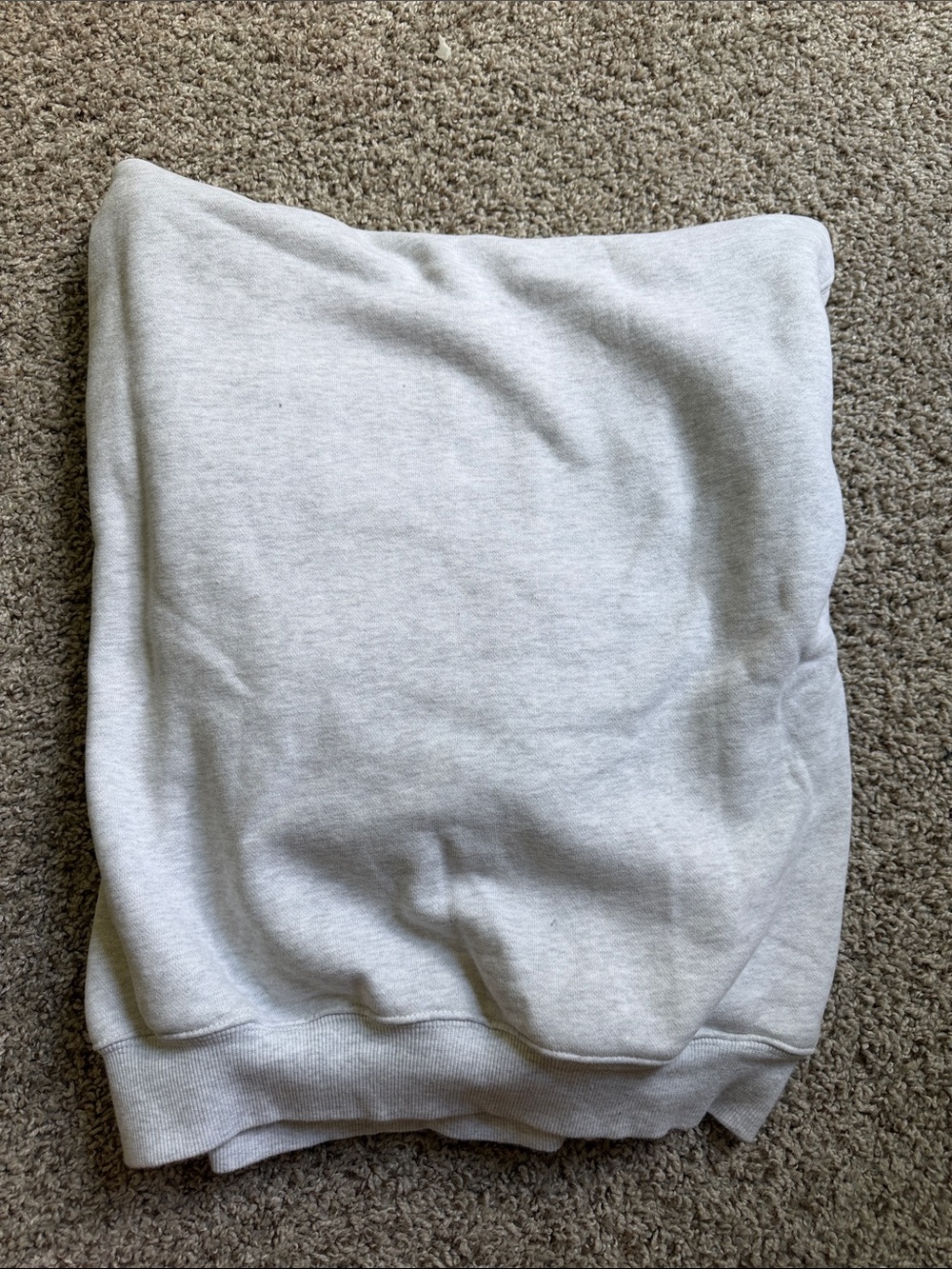 Aritzia Perfect Fit Hoodie - Picture 3 of 3